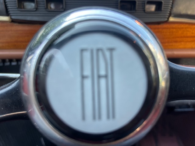 FIAT vignale-image-11