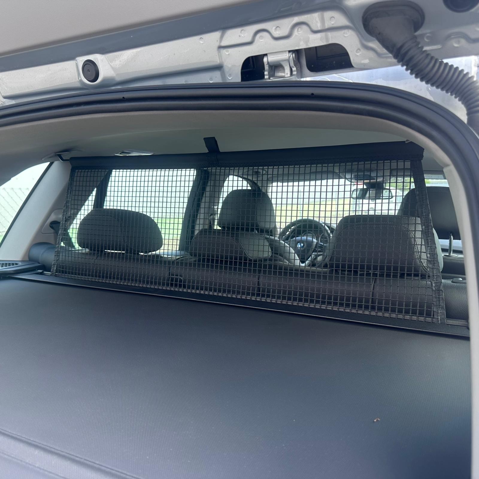 BMW X5 xDrive 25d Steptronic-image-10