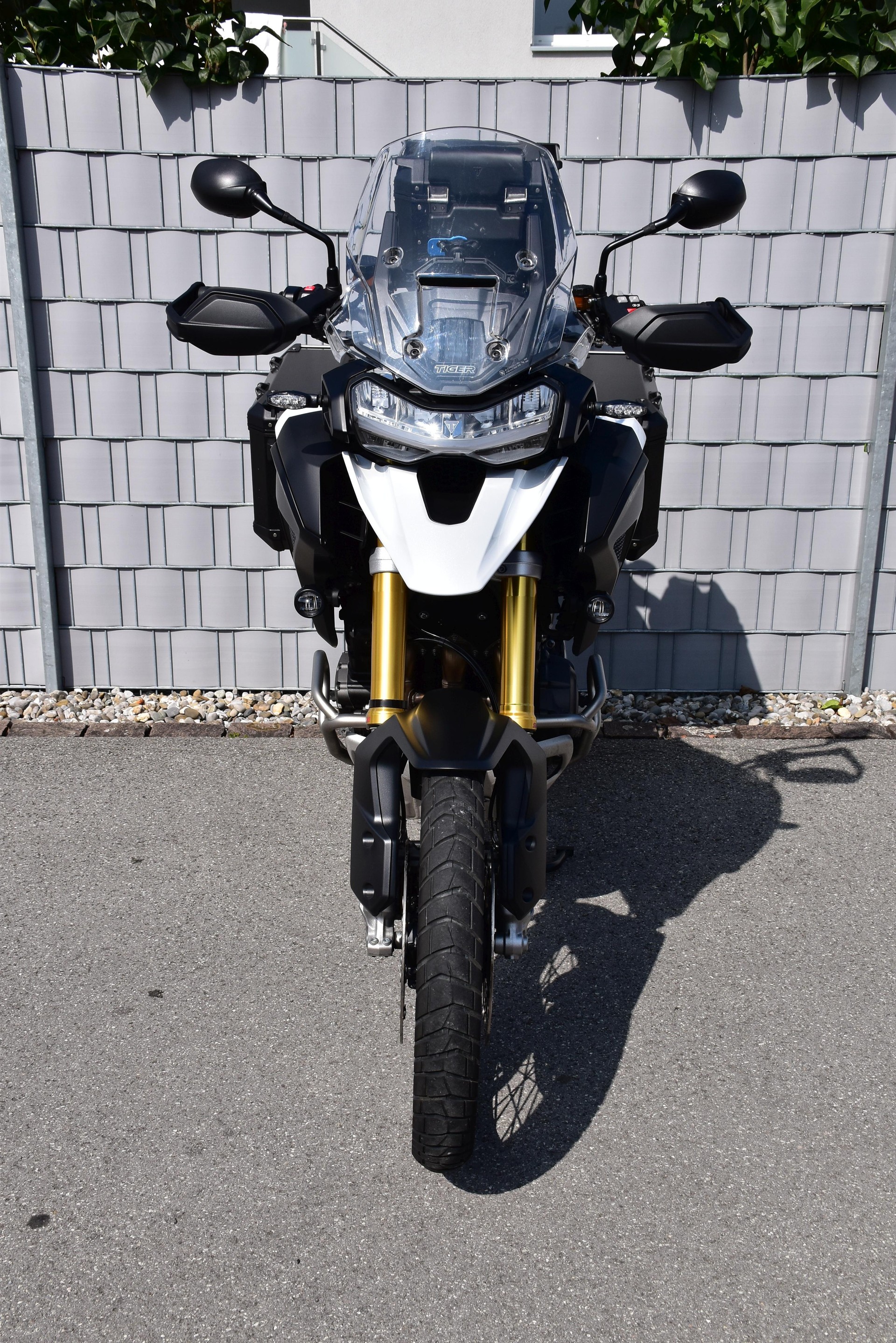 TRIUMPH Tiger 1200 Rally Pro-image-7