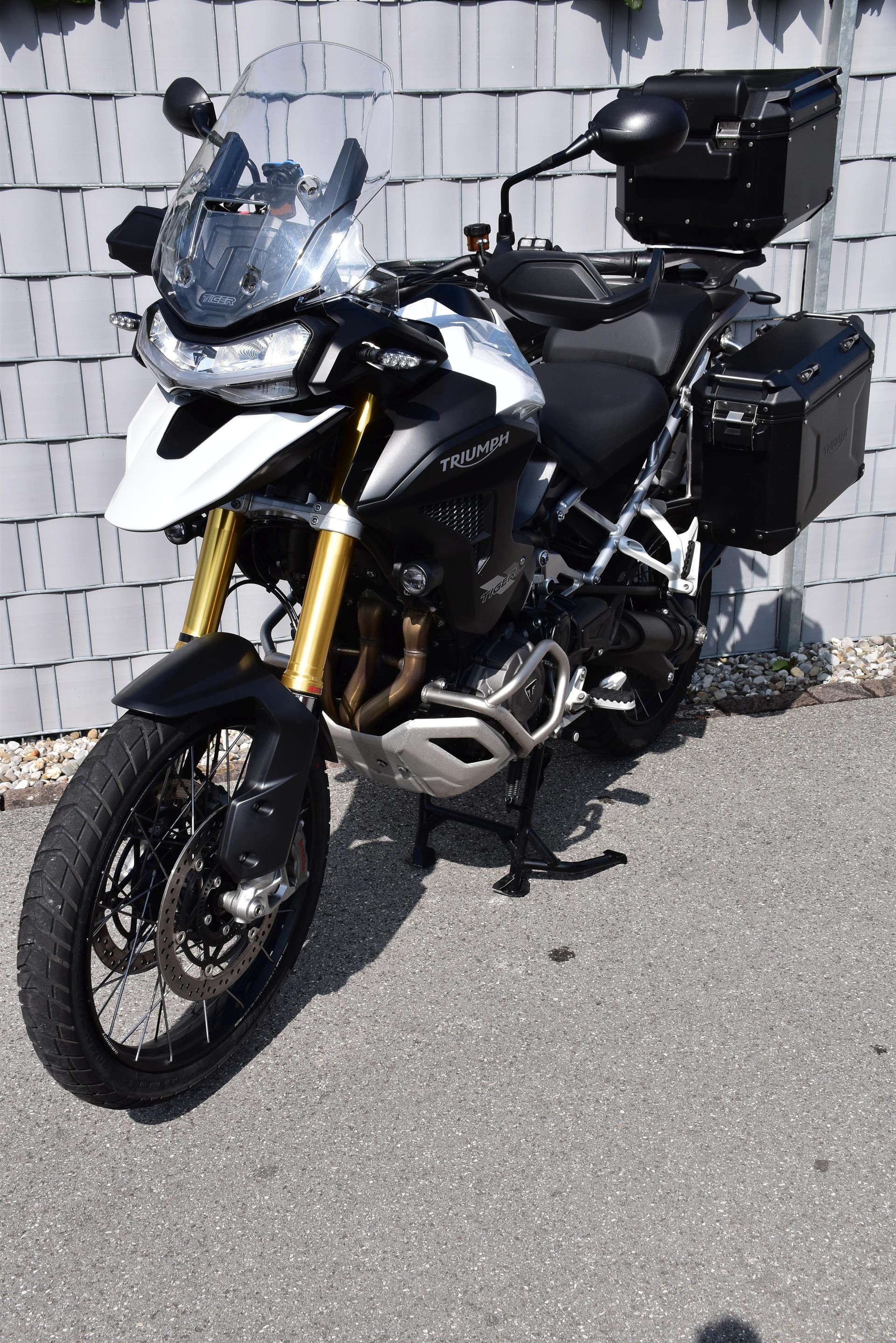 TRIUMPH Tiger 1200 Rally Pro-image-6