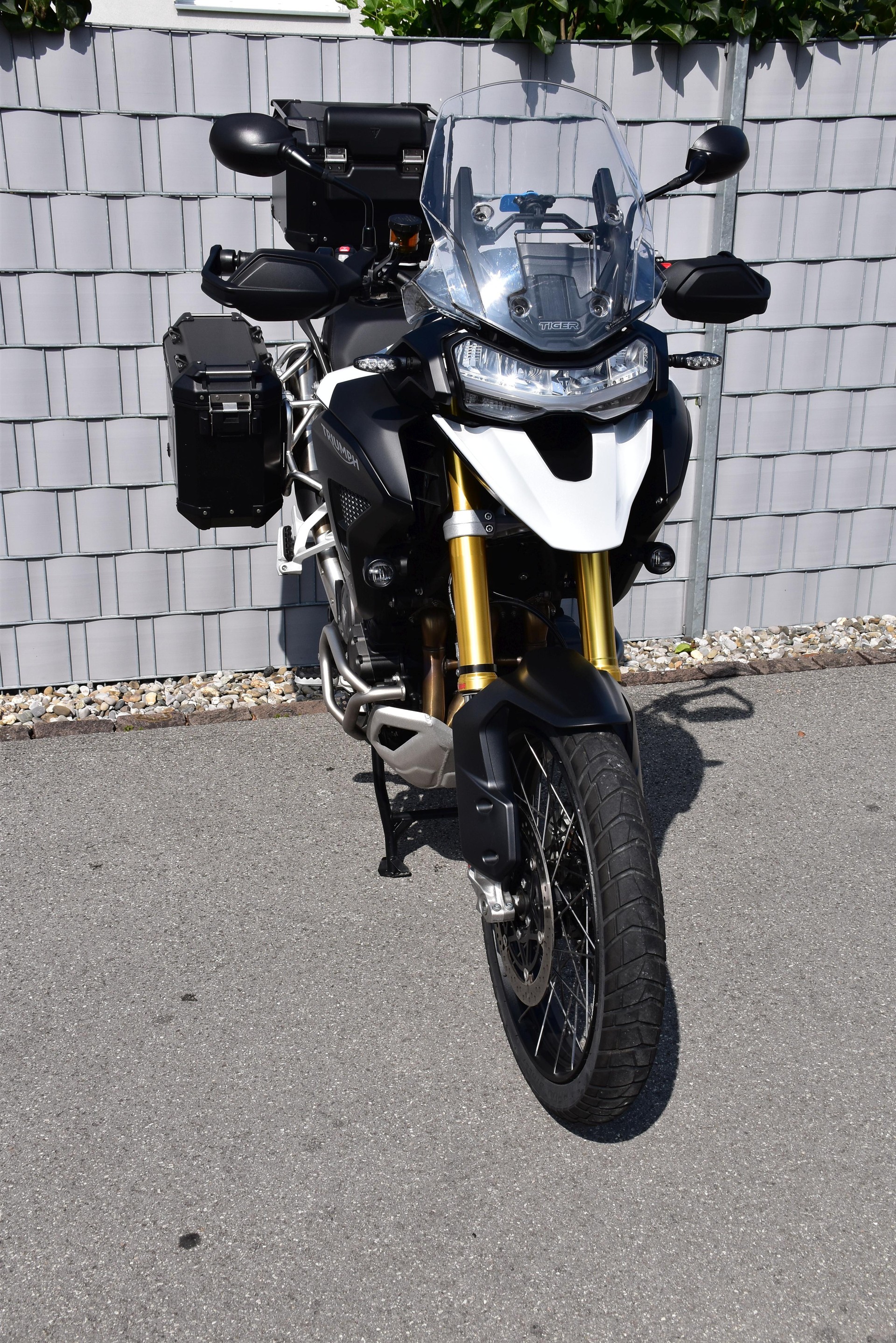 TRIUMPH Tiger 1200 Rally Pro-image-8