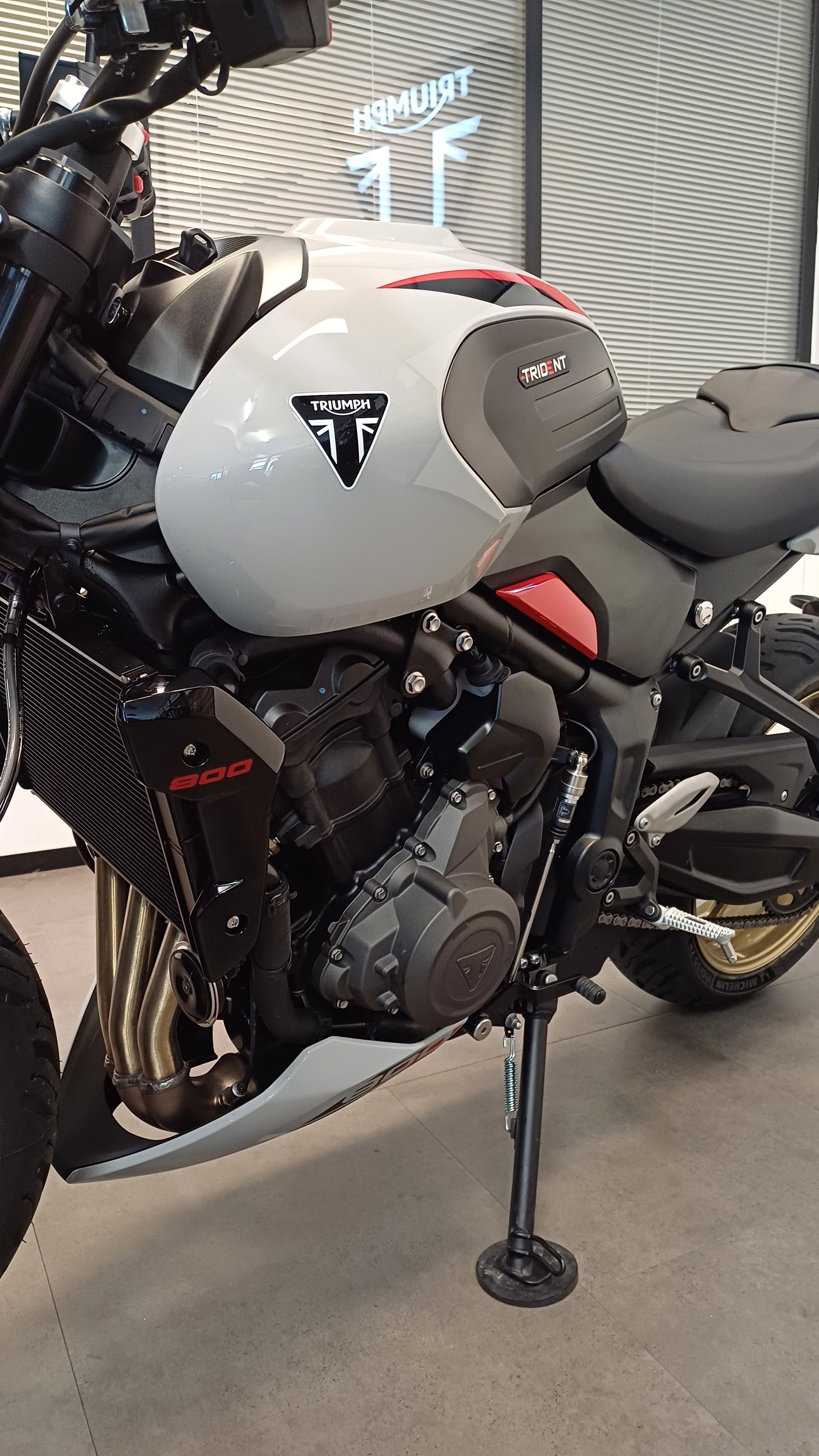 TRIUMPH Triumph Trident 800-image-8