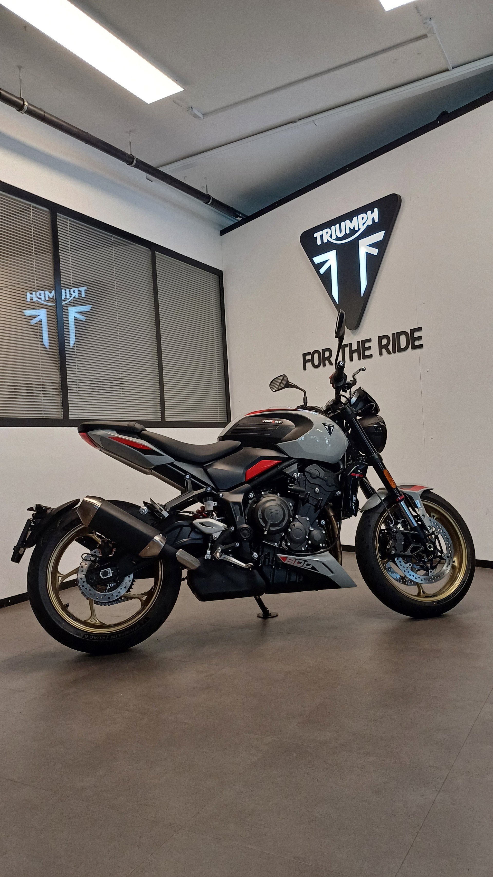 TRIUMPH Triumph Trident 800-image-3