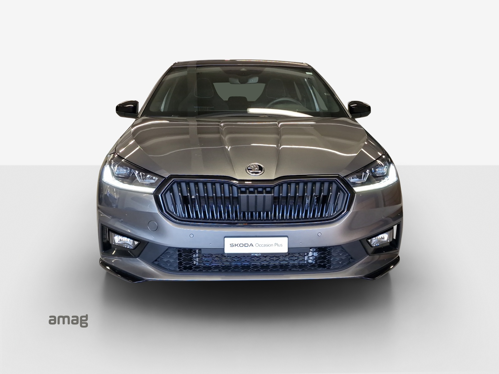 SKODA Fabia 1.5 TSI Monte Carlo DSG-image-6