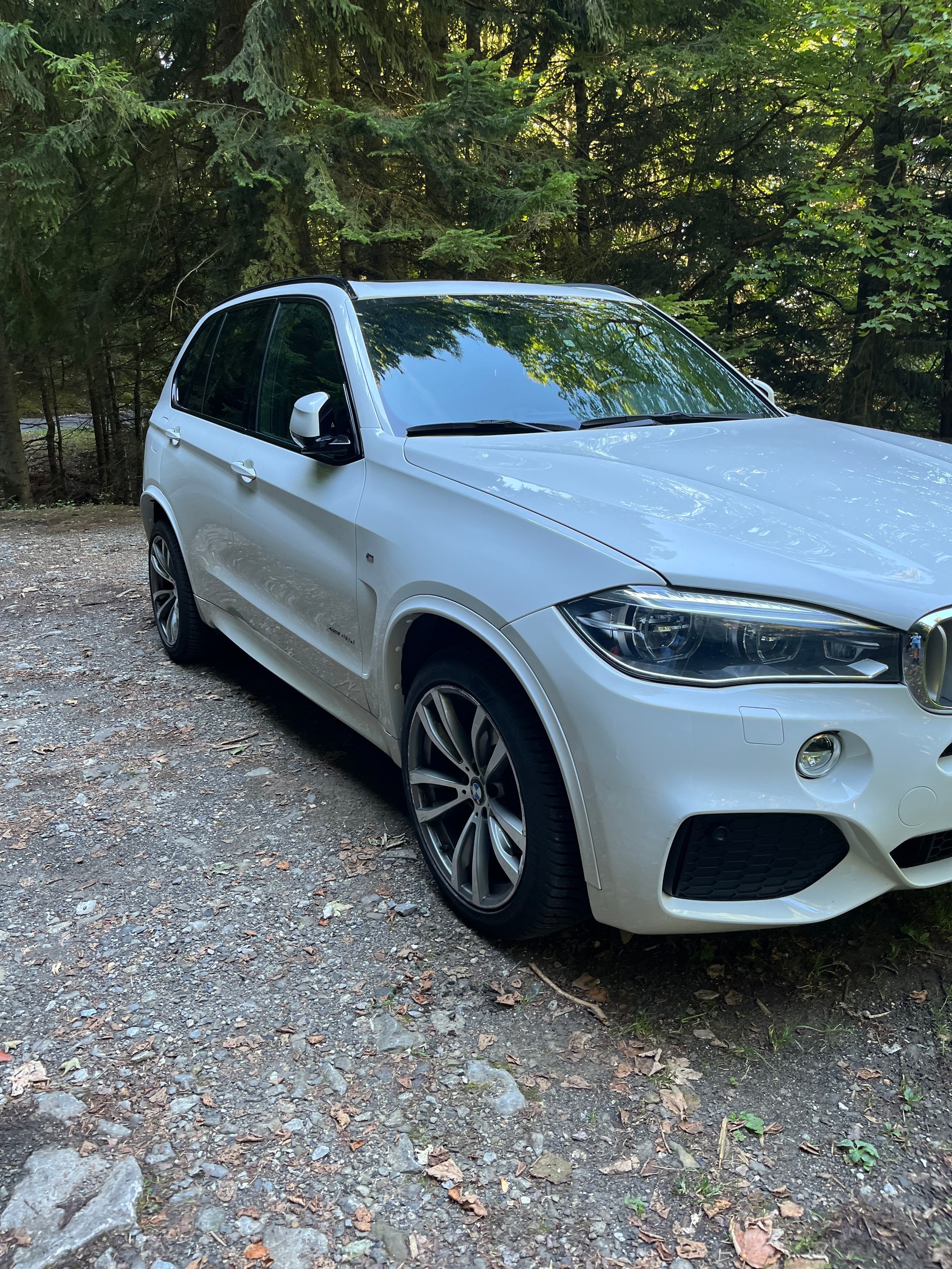 BMW 40d xDrive SAG-image-2