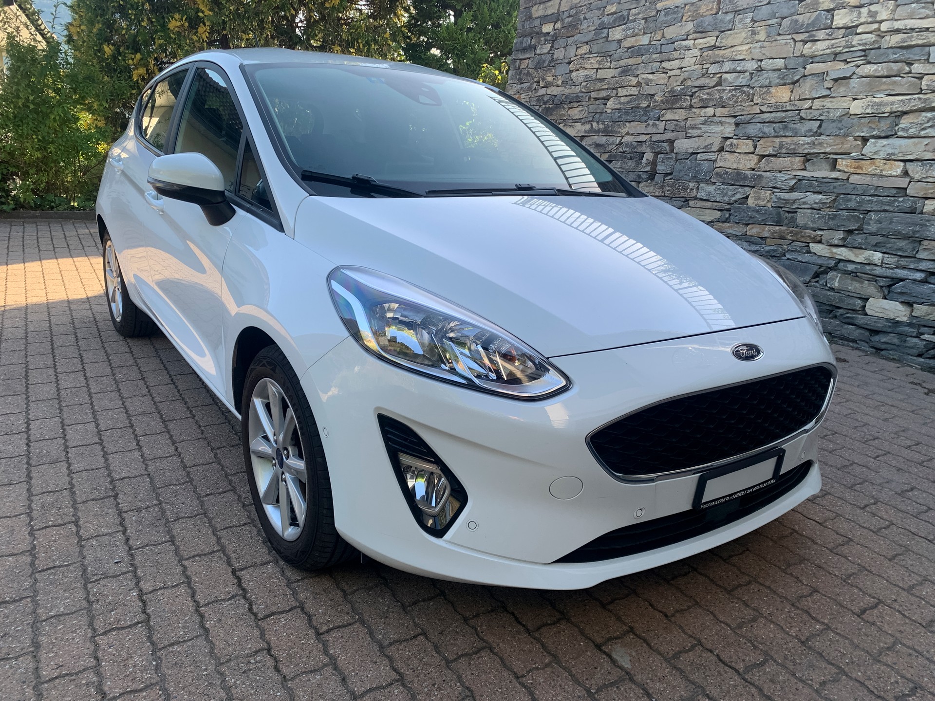 FORD 1.0 EcoB Trend-image-1