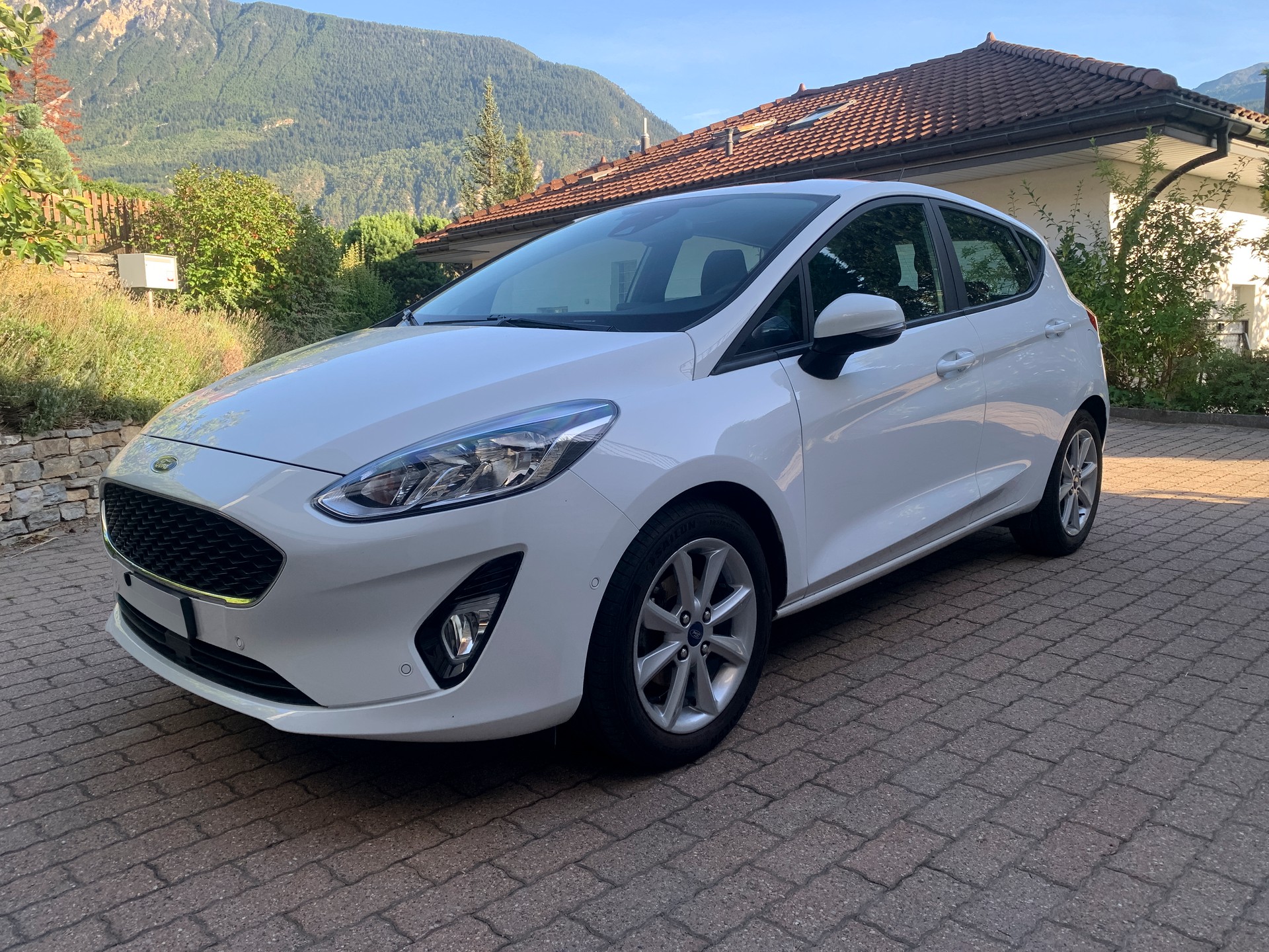 FORD 1.0 EcoB Trend-image-0