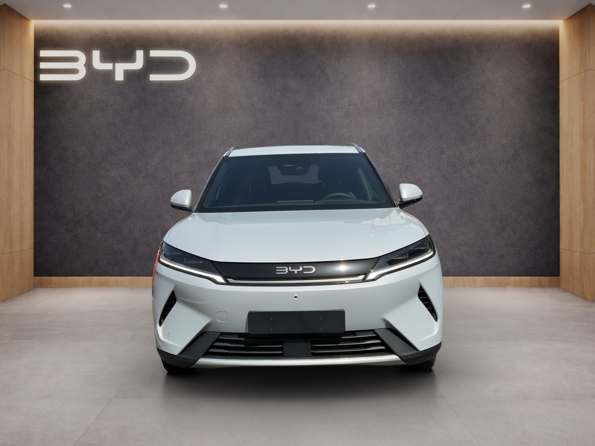 BYD Atto 2 DM-i Boost-image-7