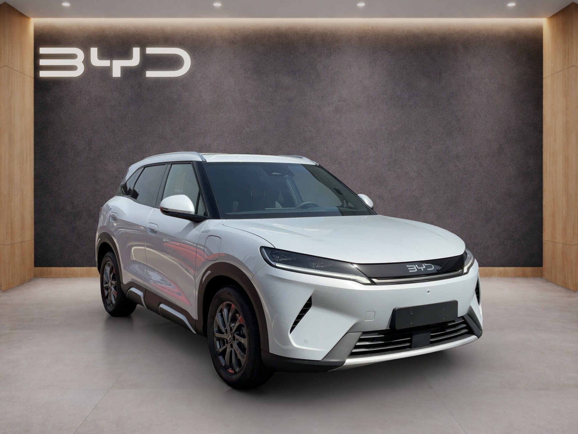 BYD Atto 2 DM-i Boost-image-6