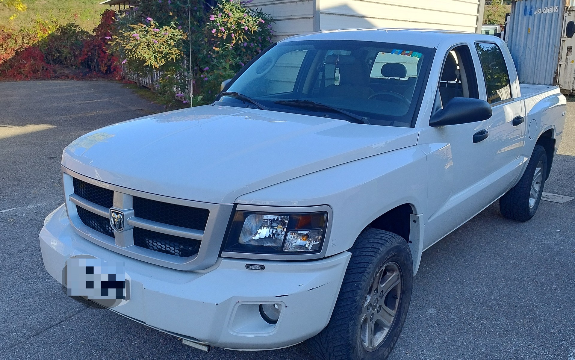 DODGE Dakota-image-1