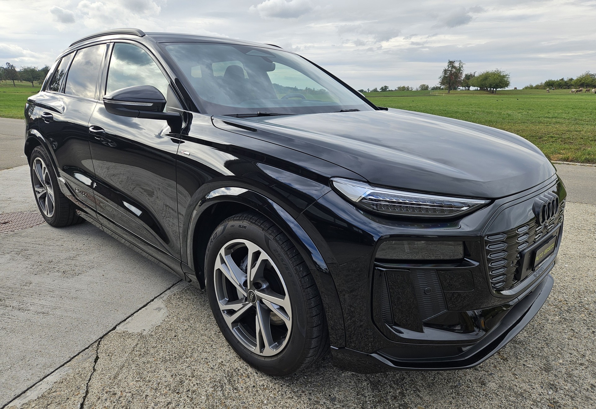 AUDI Q6 e-tron quattro S-Line mit Anhängerkupplung