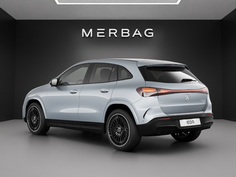 MERCEDES-BENZ EQA 350 66,5 kWh 4Matic Swiss Star-image-2