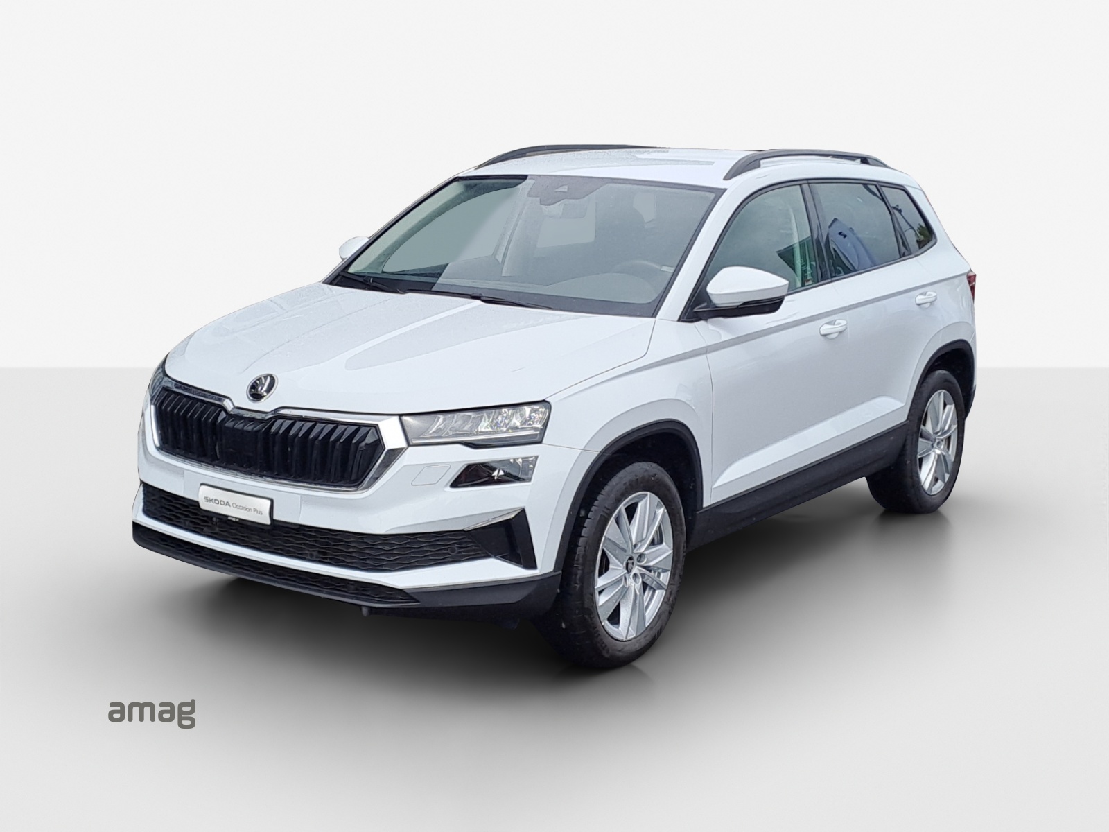 SKODA Karoq 2.0 TDI CR Selection 4x4 DSG-image-0
