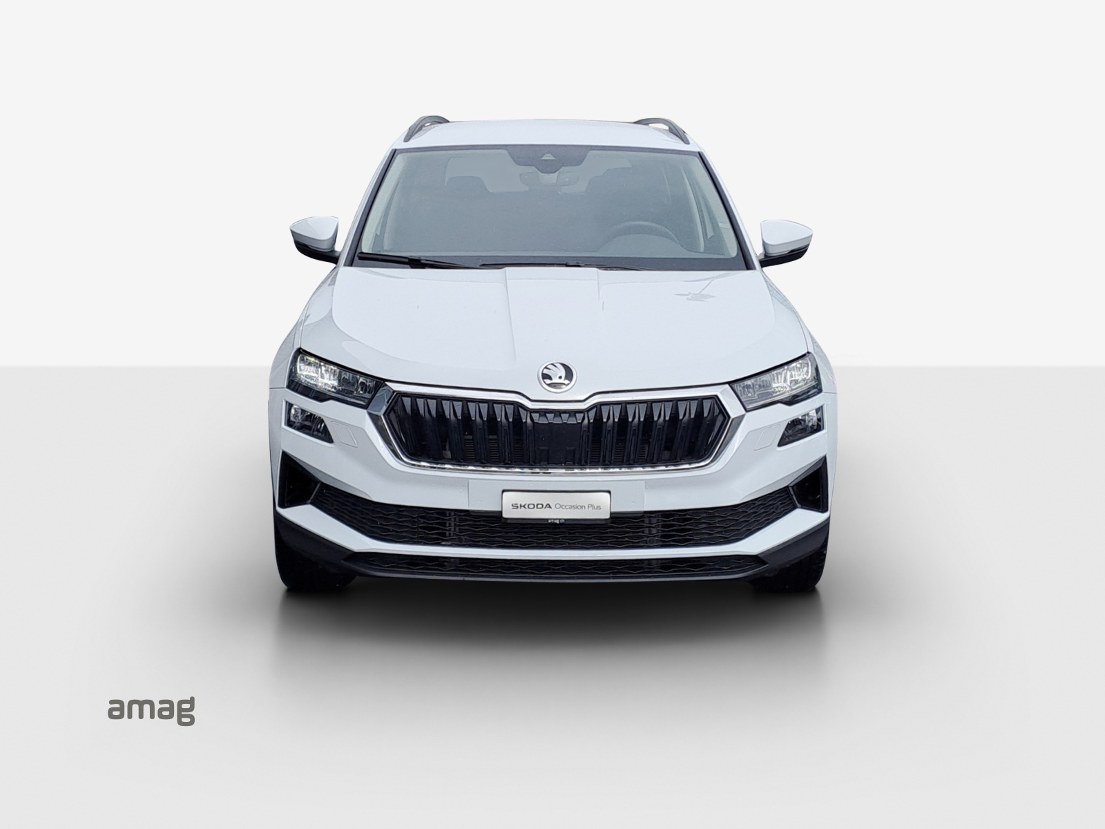SKODA Karoq 2.0 TDI CR Selection 4x4 DSG-image-6