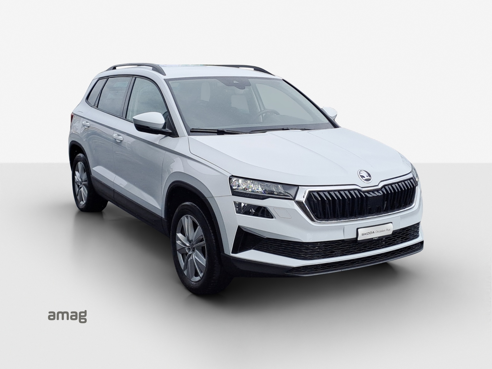 SKODA Karoq 2.0 TDI CR Selection 4x4 DSG-image-5