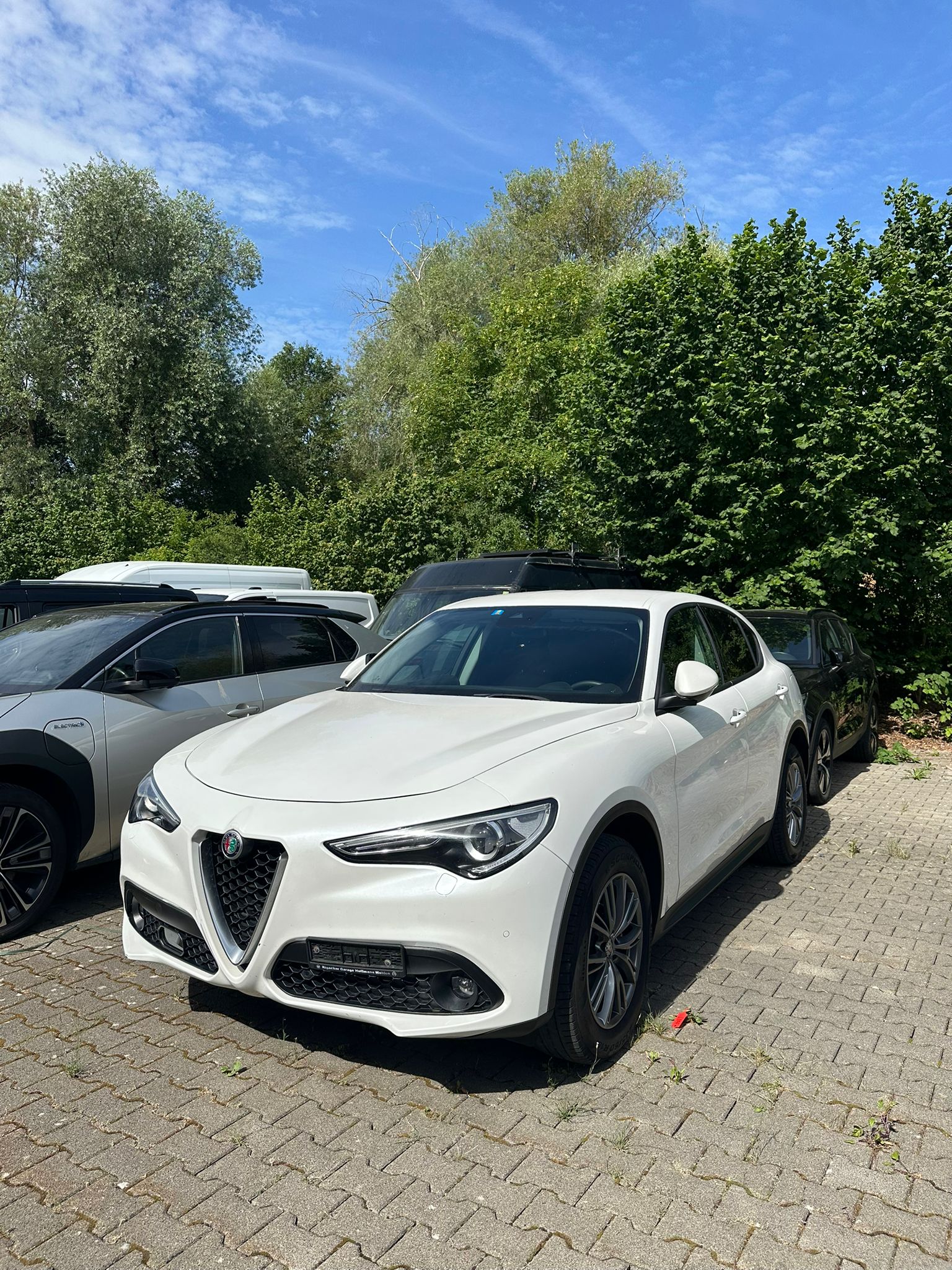 ALFA ROMEO Stelvio 2.2 JTDM Super Q4 Automatic-image-0