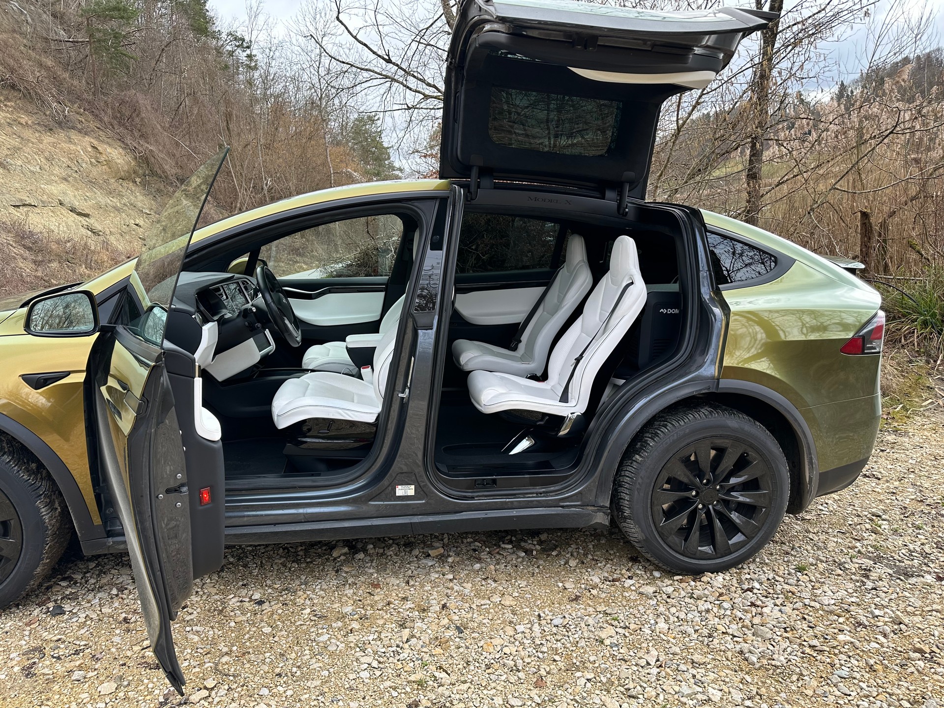 TESLA Model X 90 D-image-6