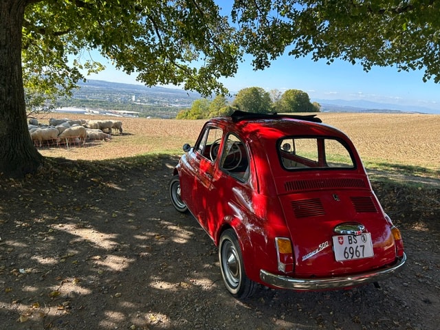 FIAT F-image-4