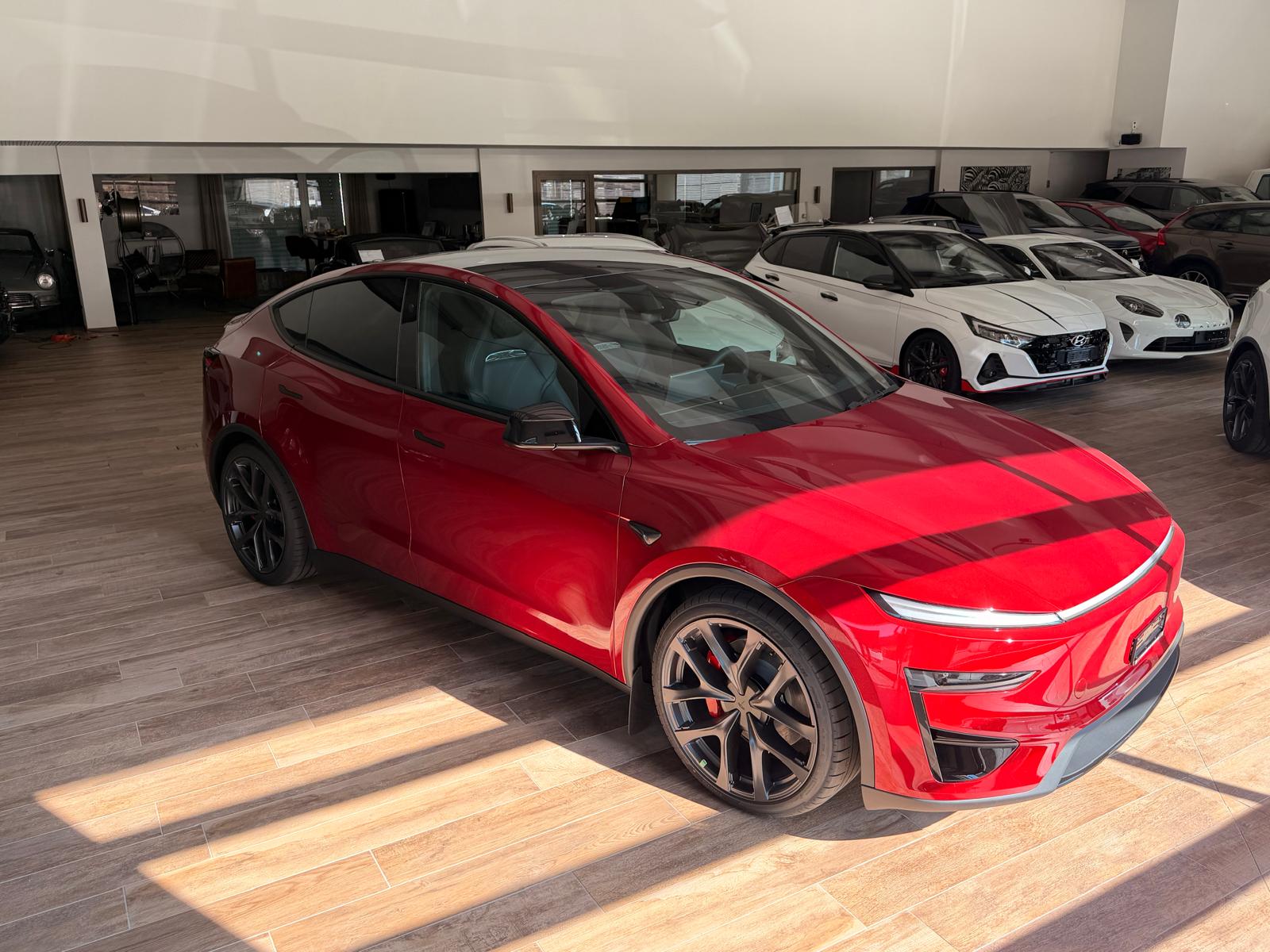 TESLA Model Y Performance-image-13