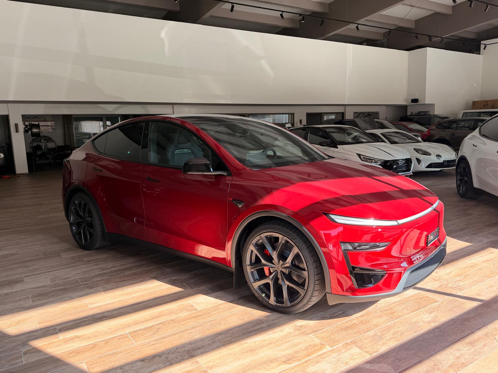 TESLA Model Y Performance-image-4