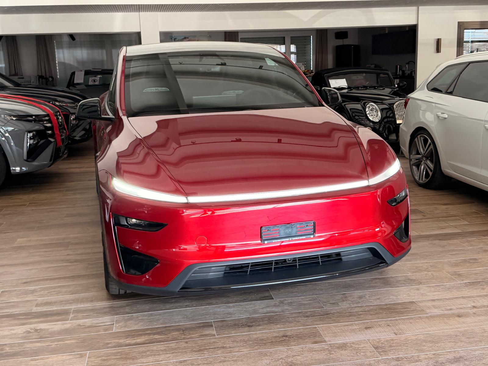TESLA Model Y Performance-showroom-element-2