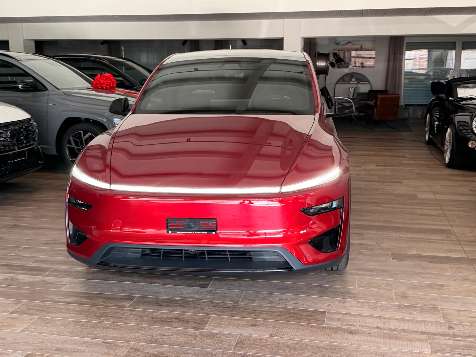 TESLA Model Y Performance-showroom-element-1