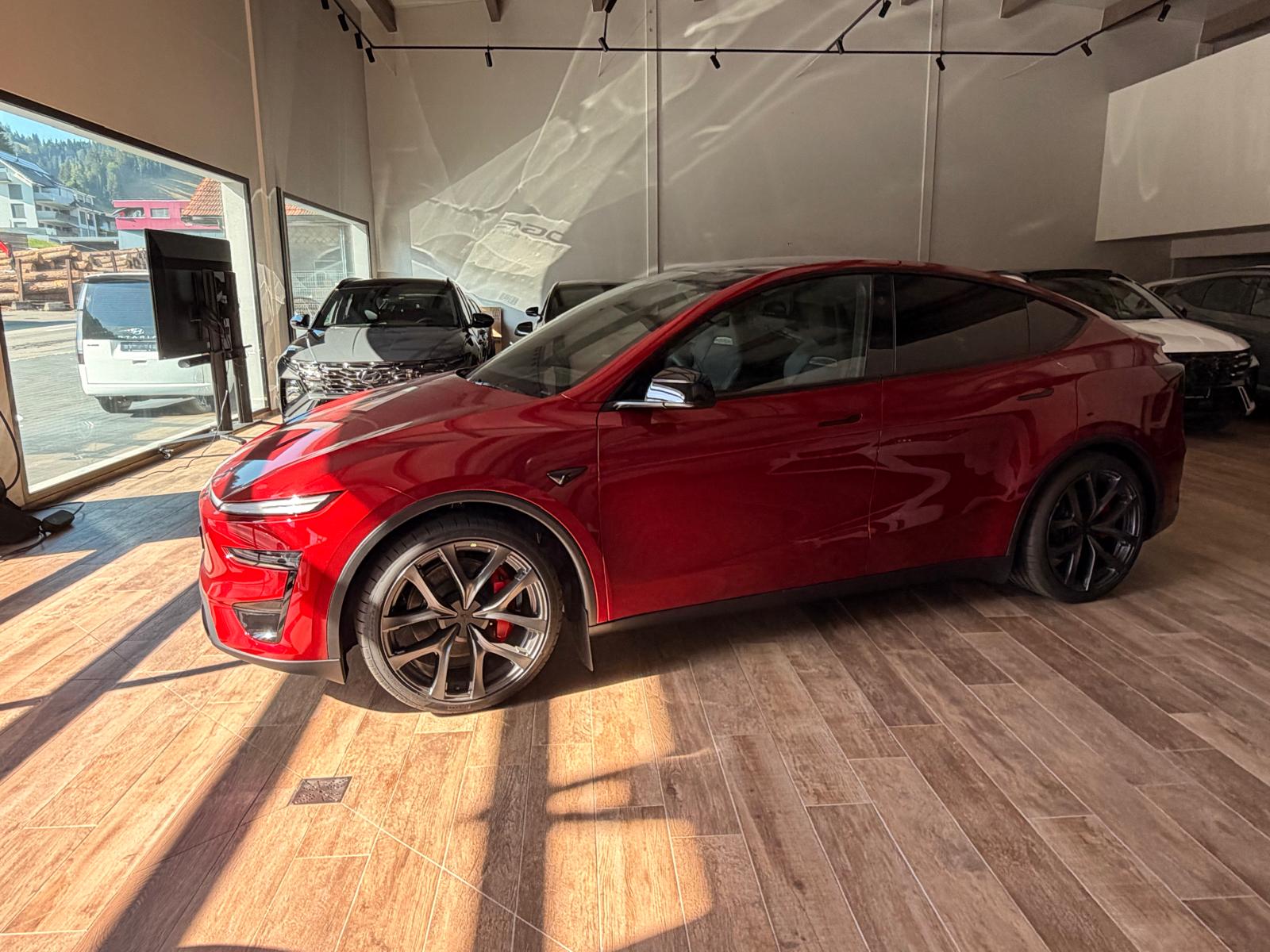 TESLA Model Y Performance-image-20