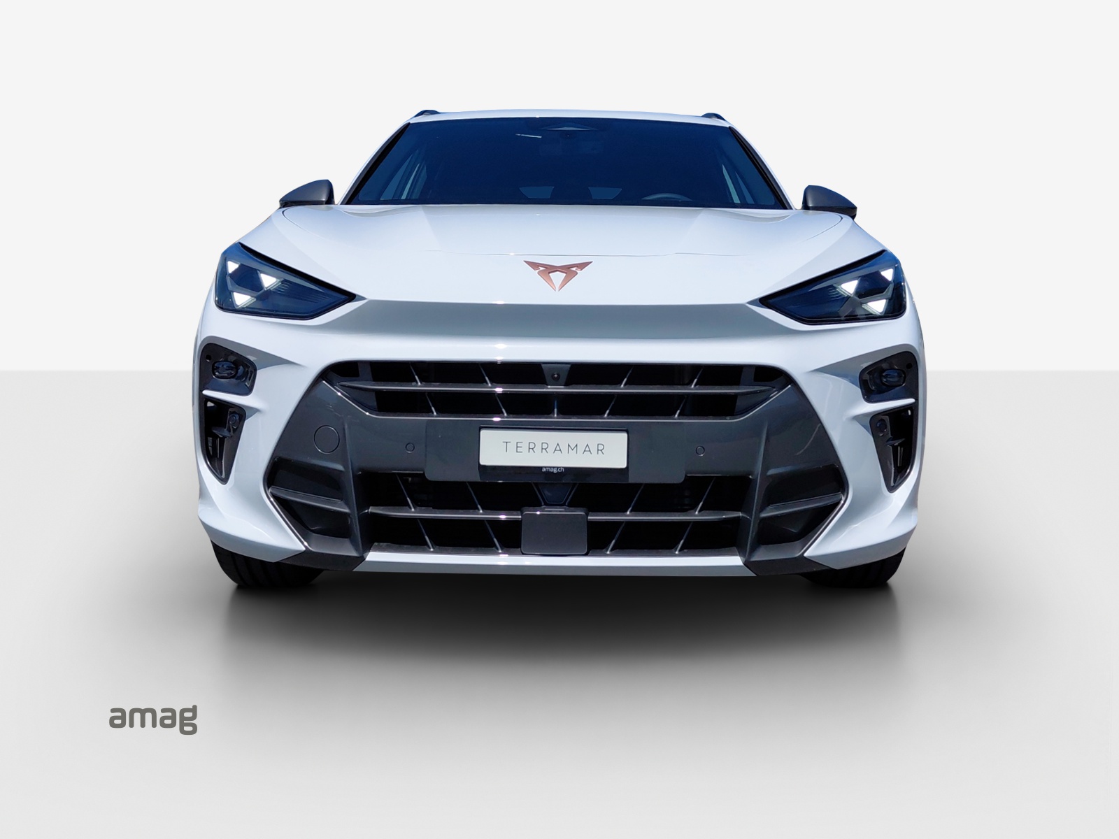 CUPRA Terramar 2.0 TSI Prime Edition DSG 4Drive-image-6