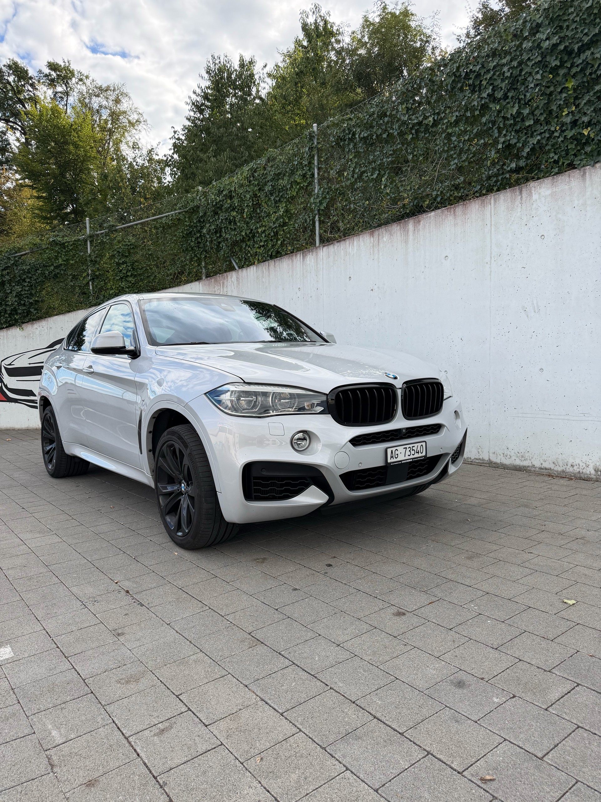 BMW X6 50i-image-9