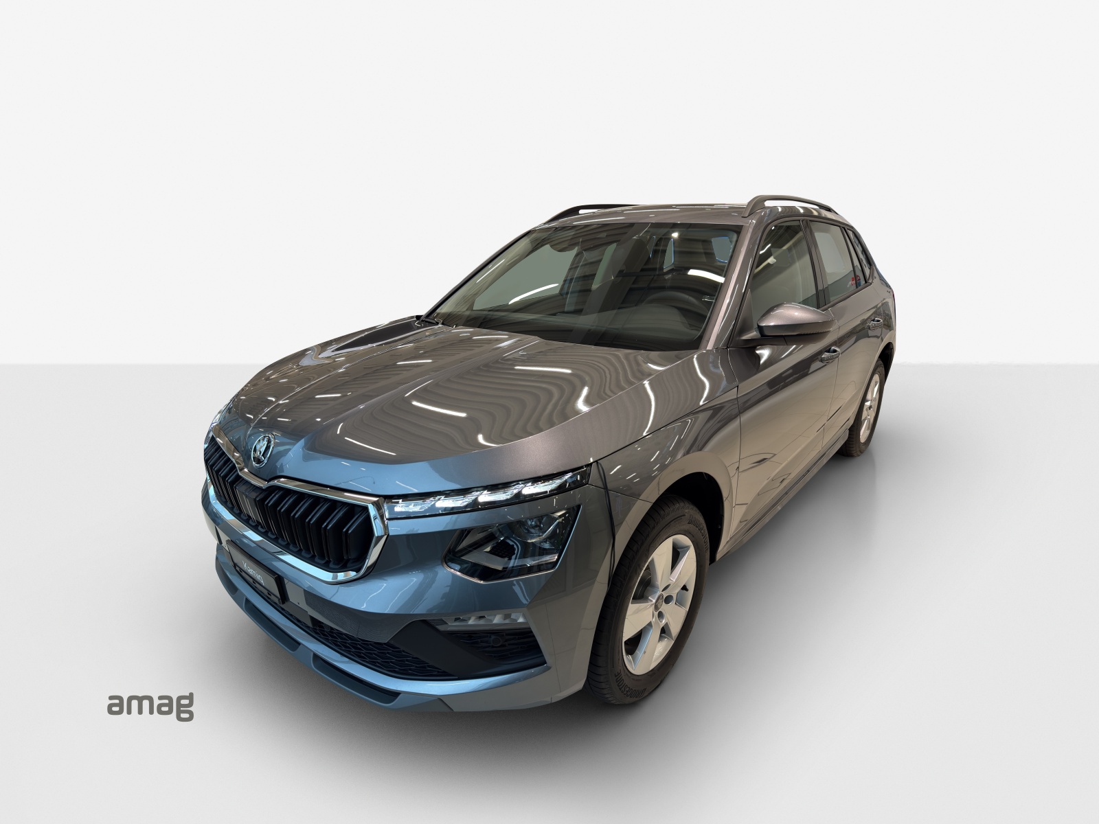 SKODA Kamiq 1.0 TSI Selection DSG-image-0