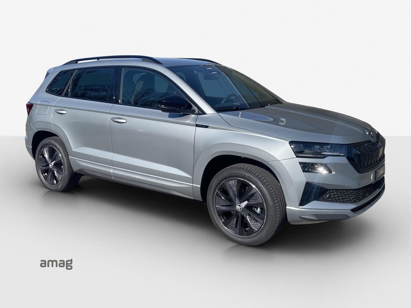 SKODA Karoq 2.0 TSI SportLine 4x4 DSG-image-5