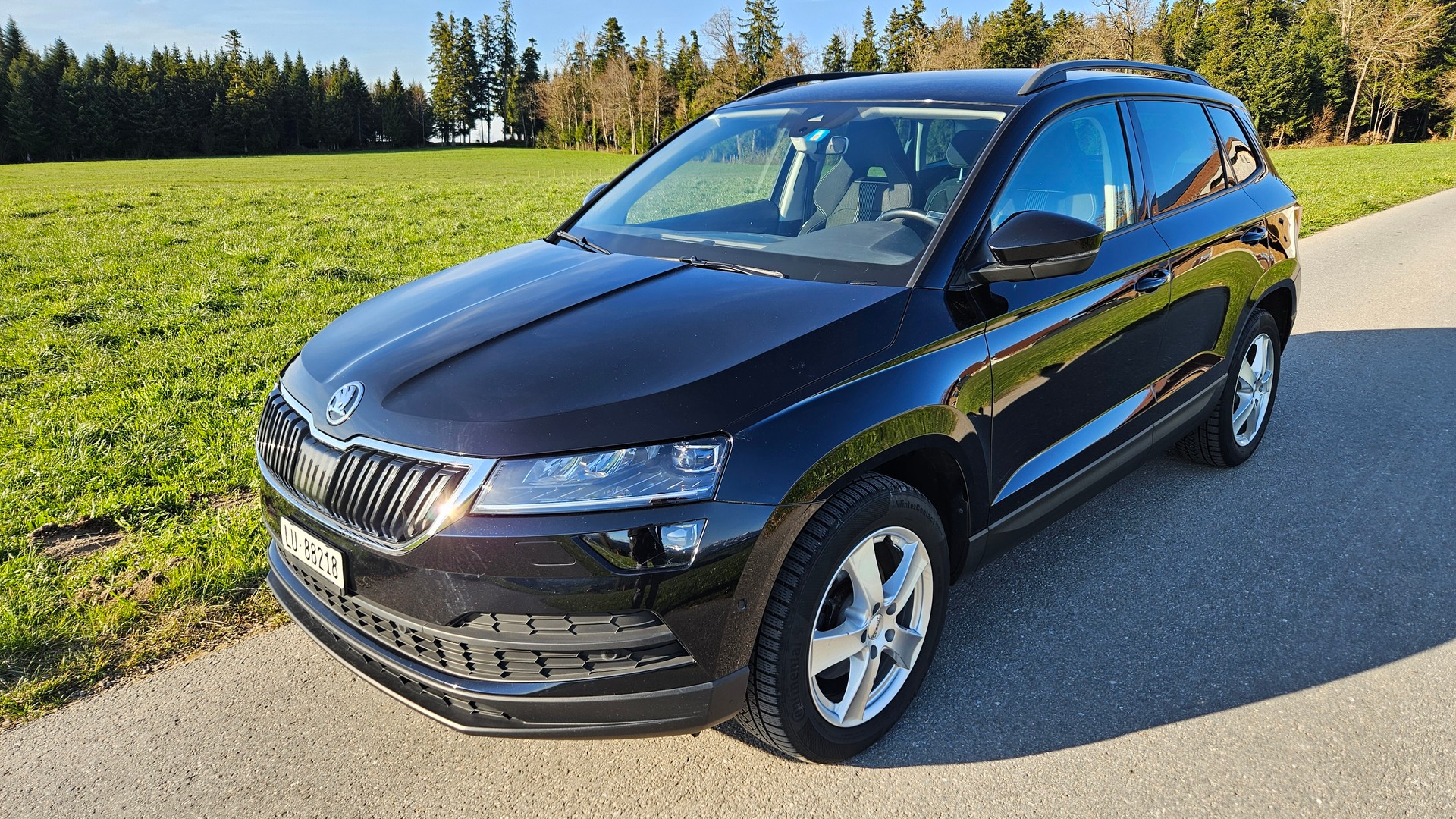 SKODA SKODA KAROQ 2.0 TDI 190 Style 4x4 DSG