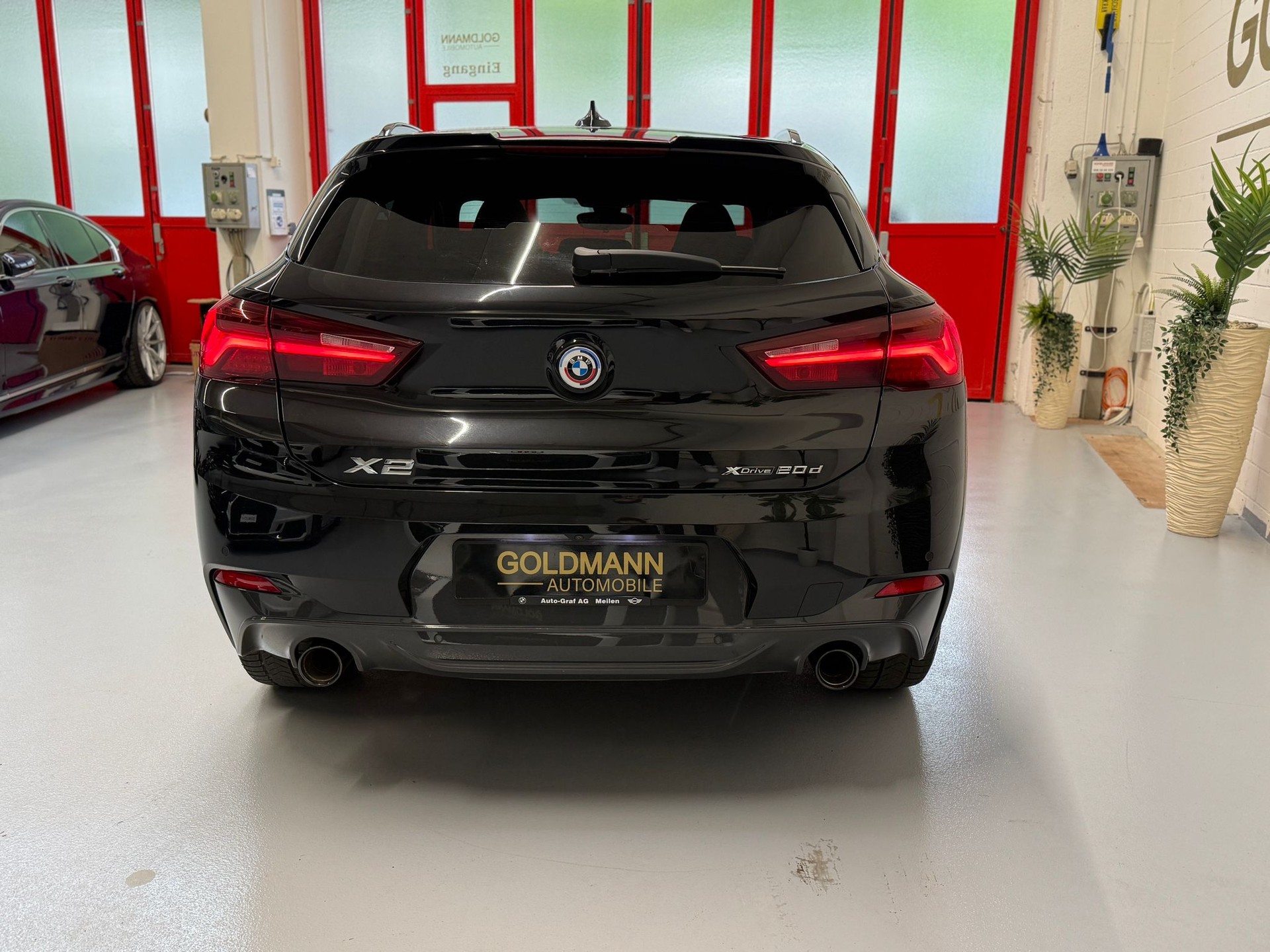 BMW X2 xDrive 20d GoldPlay Steptronic-showroom-element-3