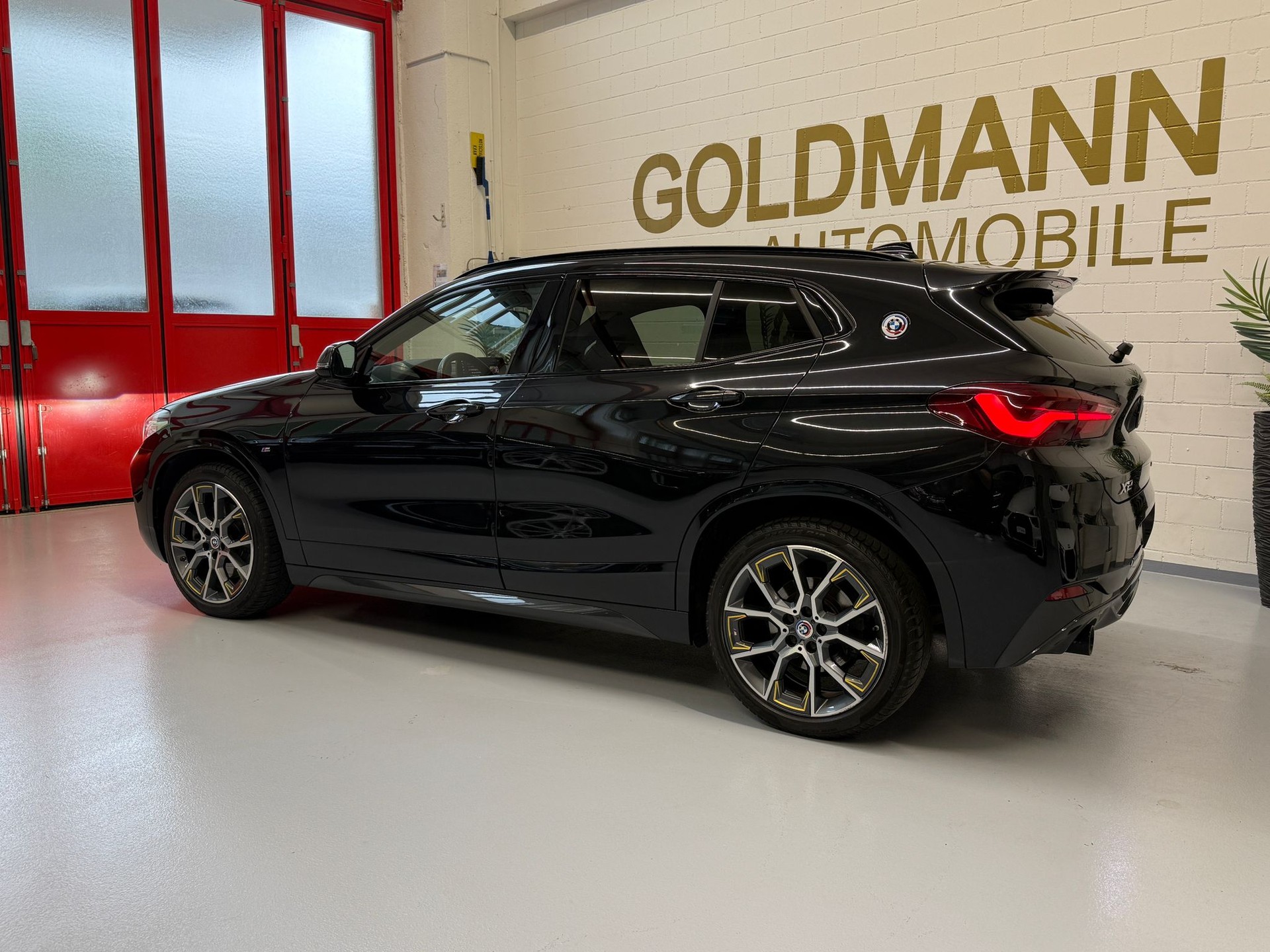 BMW X2 xDrive 20d GoldPlay Steptronic-showroom-element-2