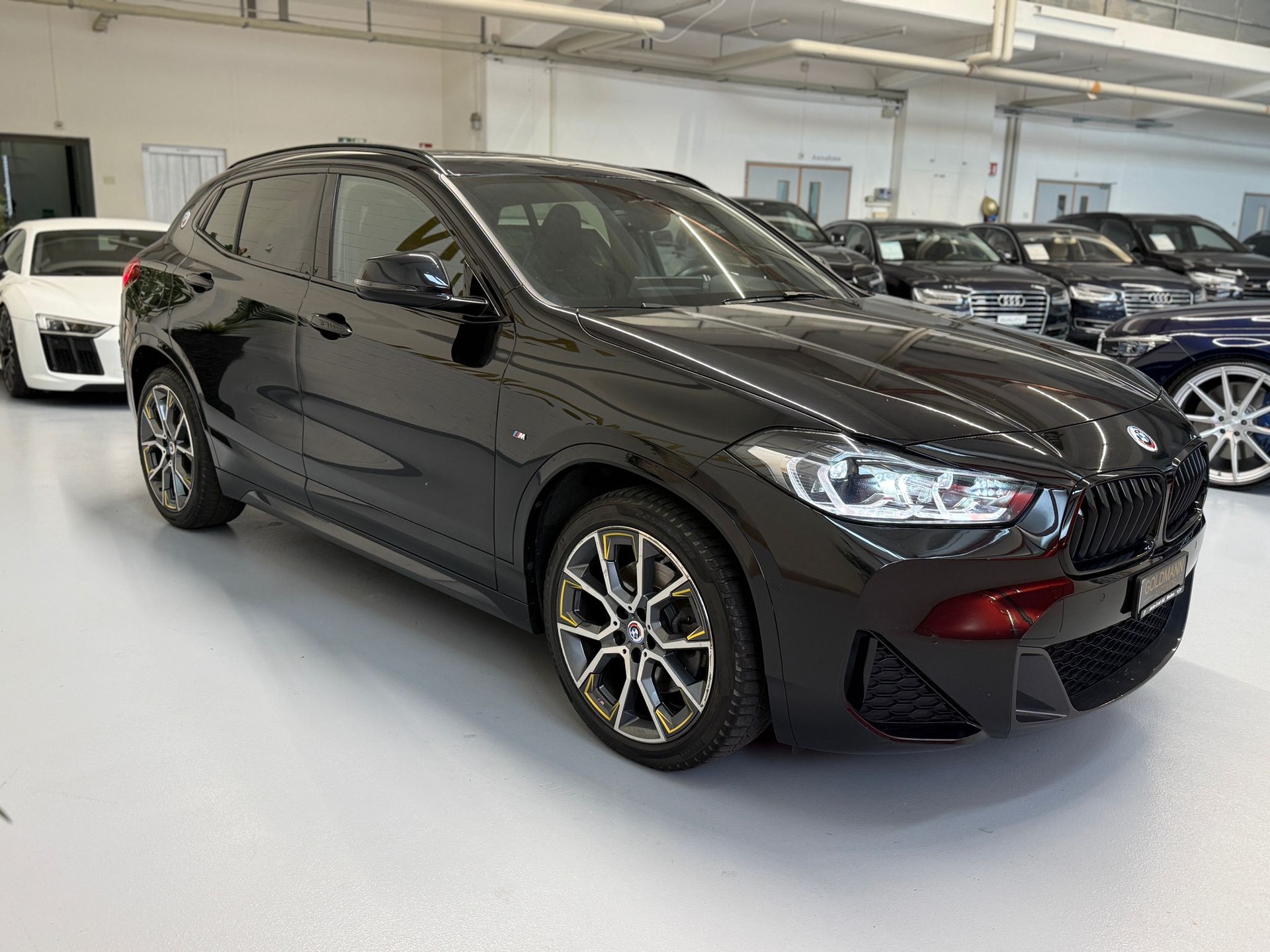 BMW X2 xDrive 20d GoldPlay Steptronic-image-18