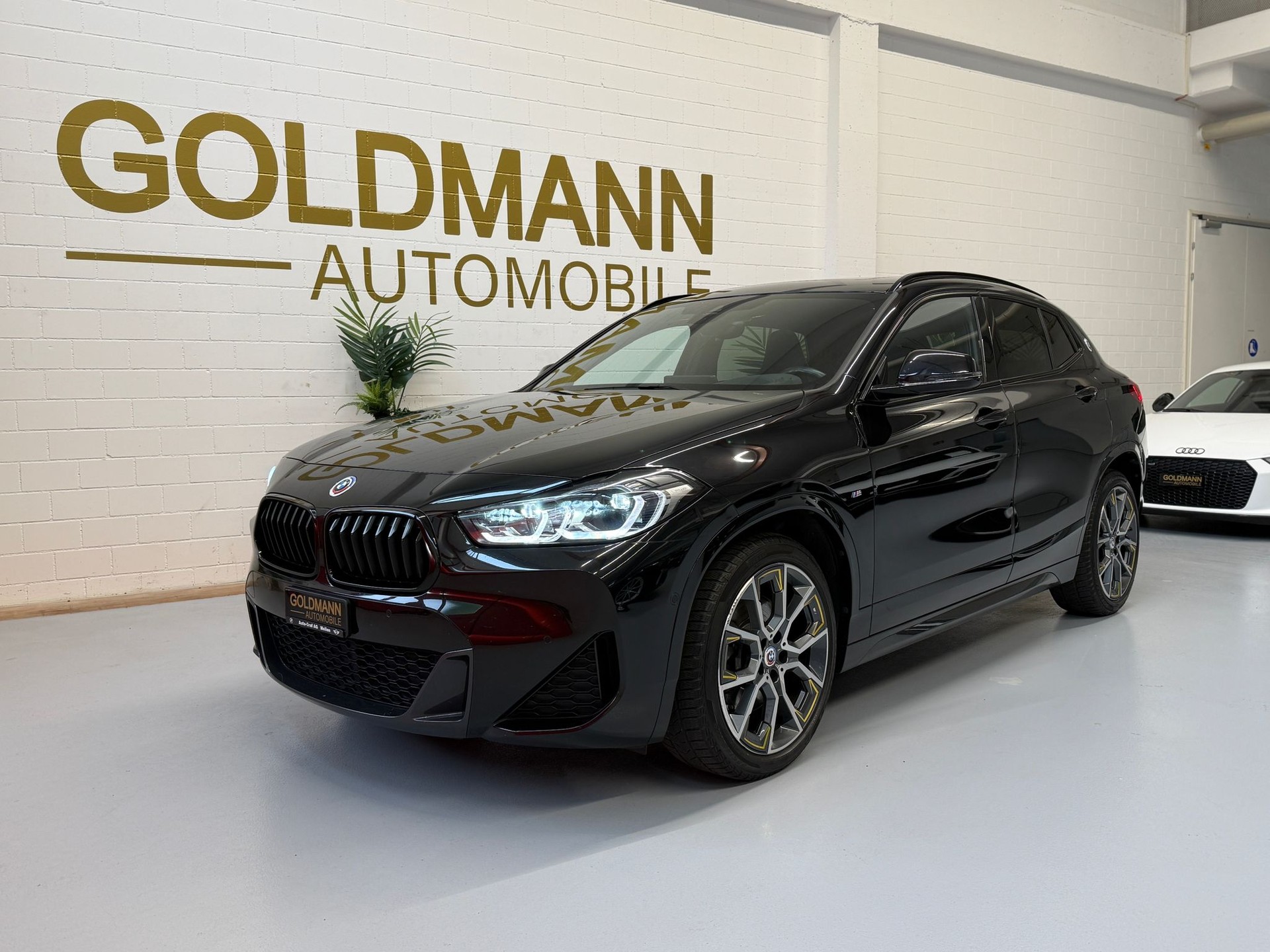 BMW X2 xDrive 20d GoldPlay Steptronic