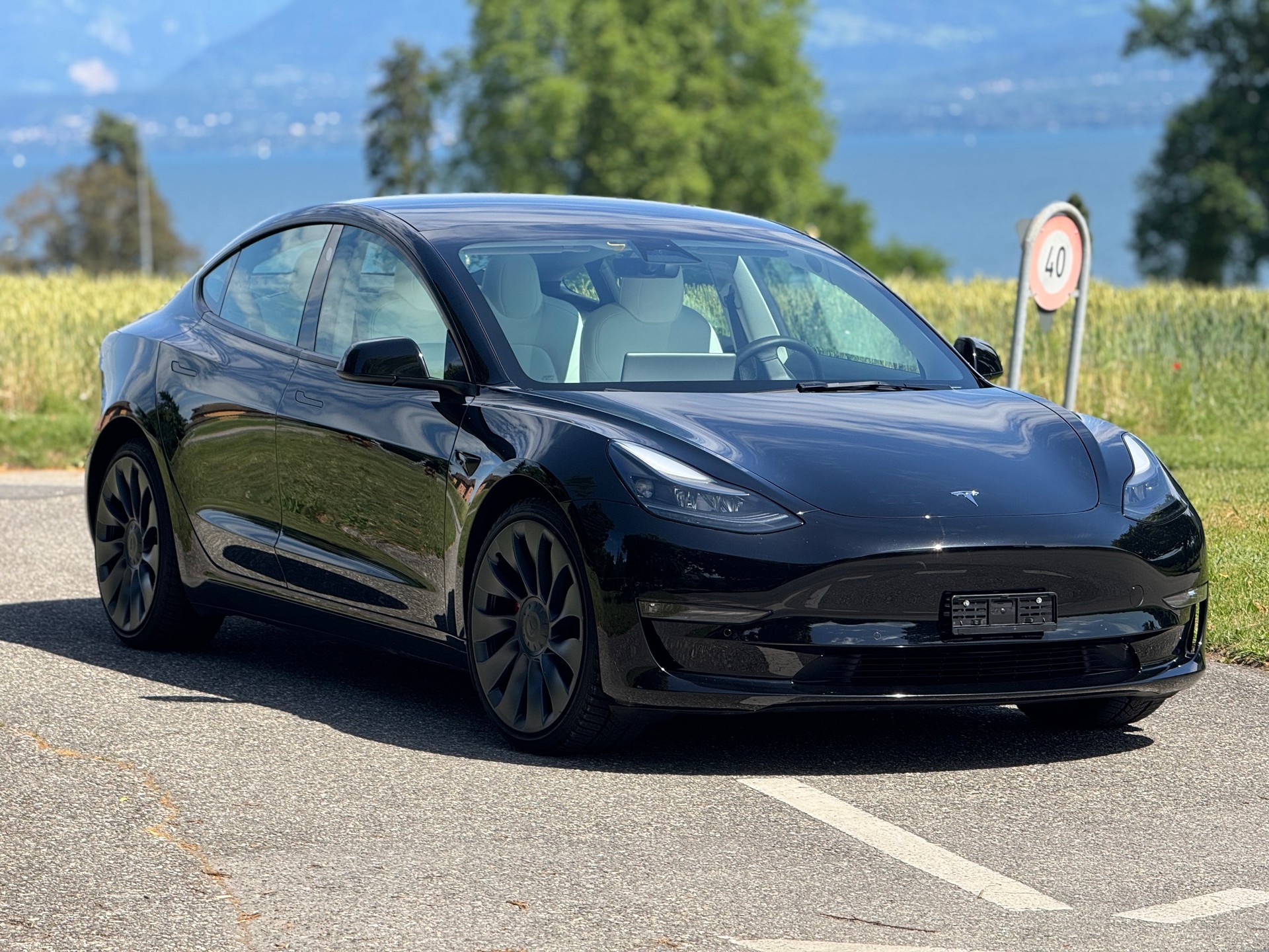 TESLA Model 3 Performance Dual Motor AWD-image-0