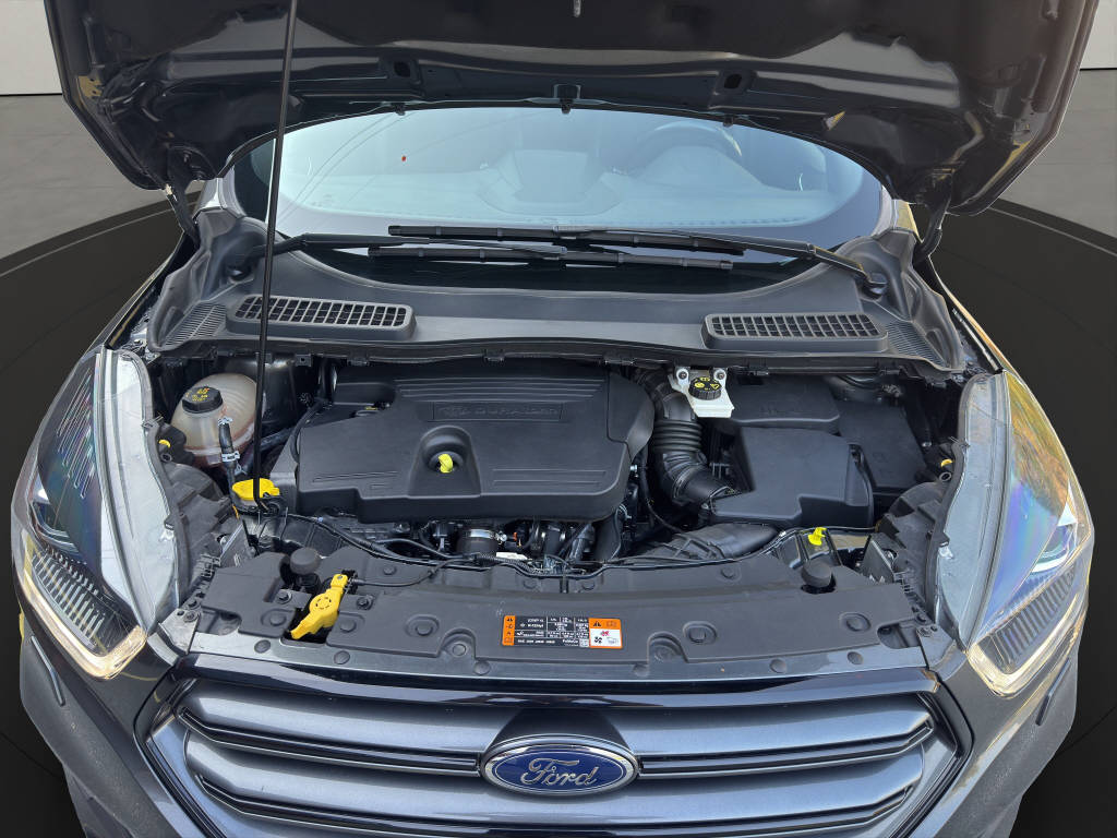 FORD Kuga 2.0 TDCi 180 ST-Line-image-19