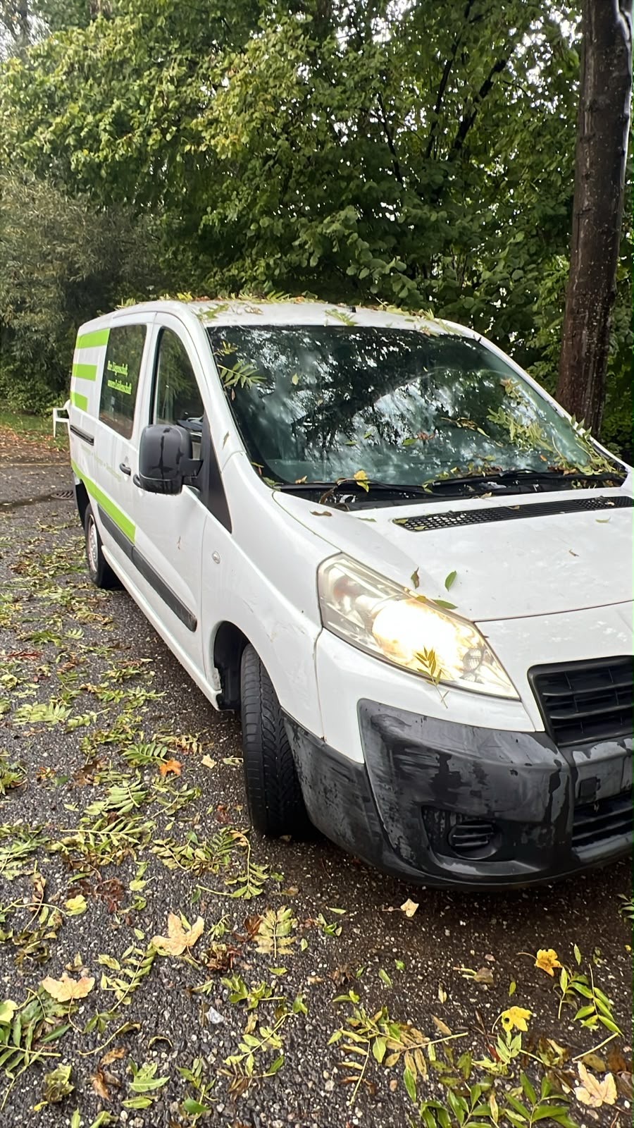 PEUGEOT Expert 2.0 HDi 229 L2H-image-6