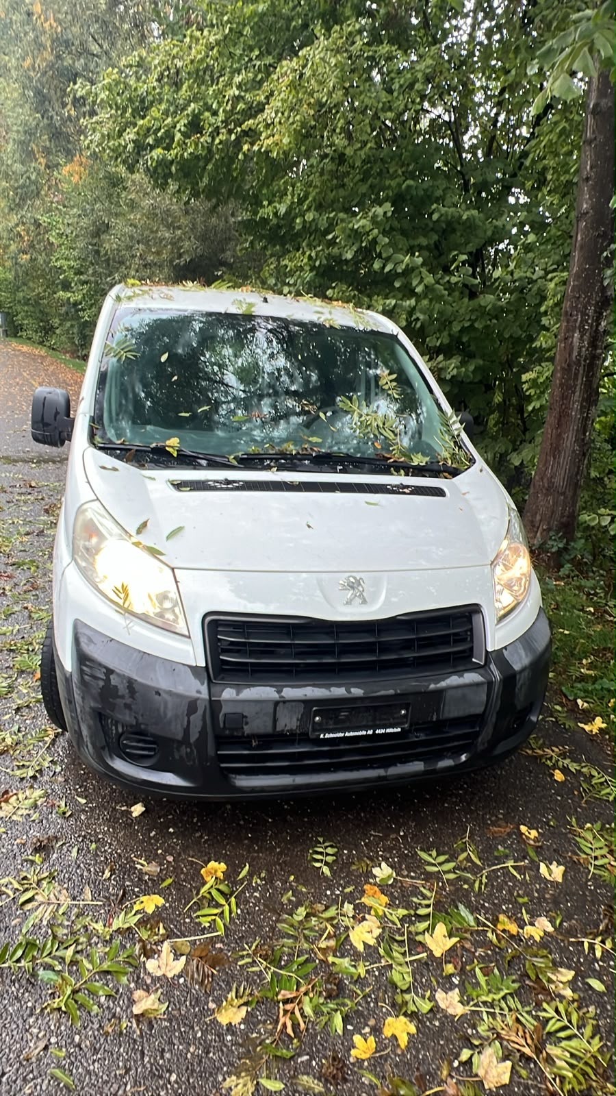 PEUGEOT Expert 2.0 HDi 229 L2H-image-5