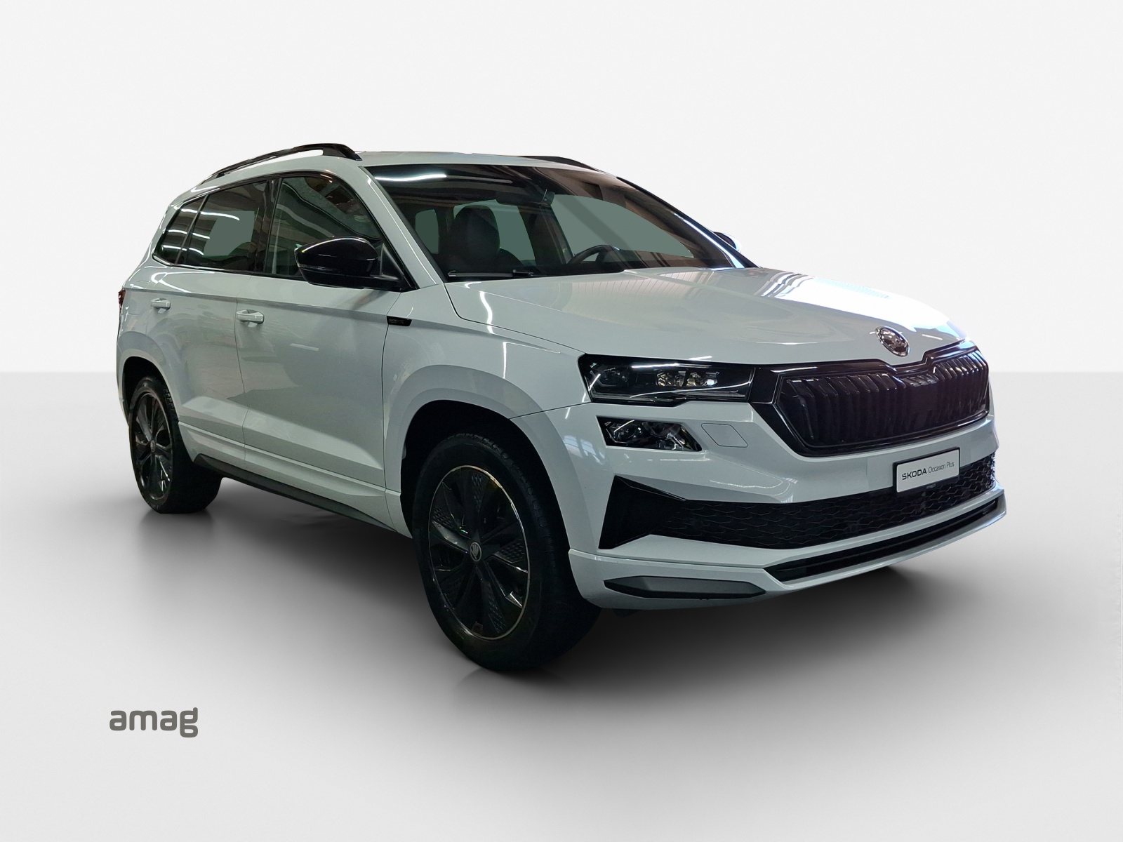 SKODA Karoq 2.0 TSI SportLine 4x4 DSG-image-6