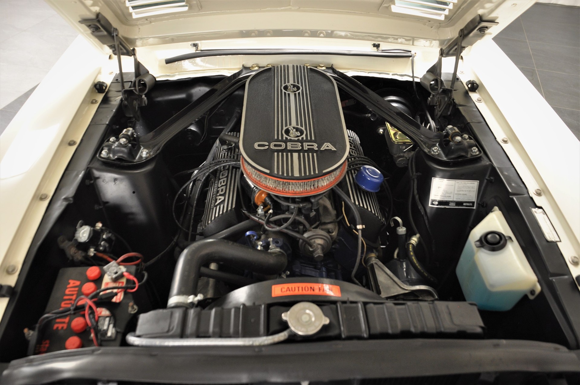 FORD MUSTANG Shelby GT350-image-15