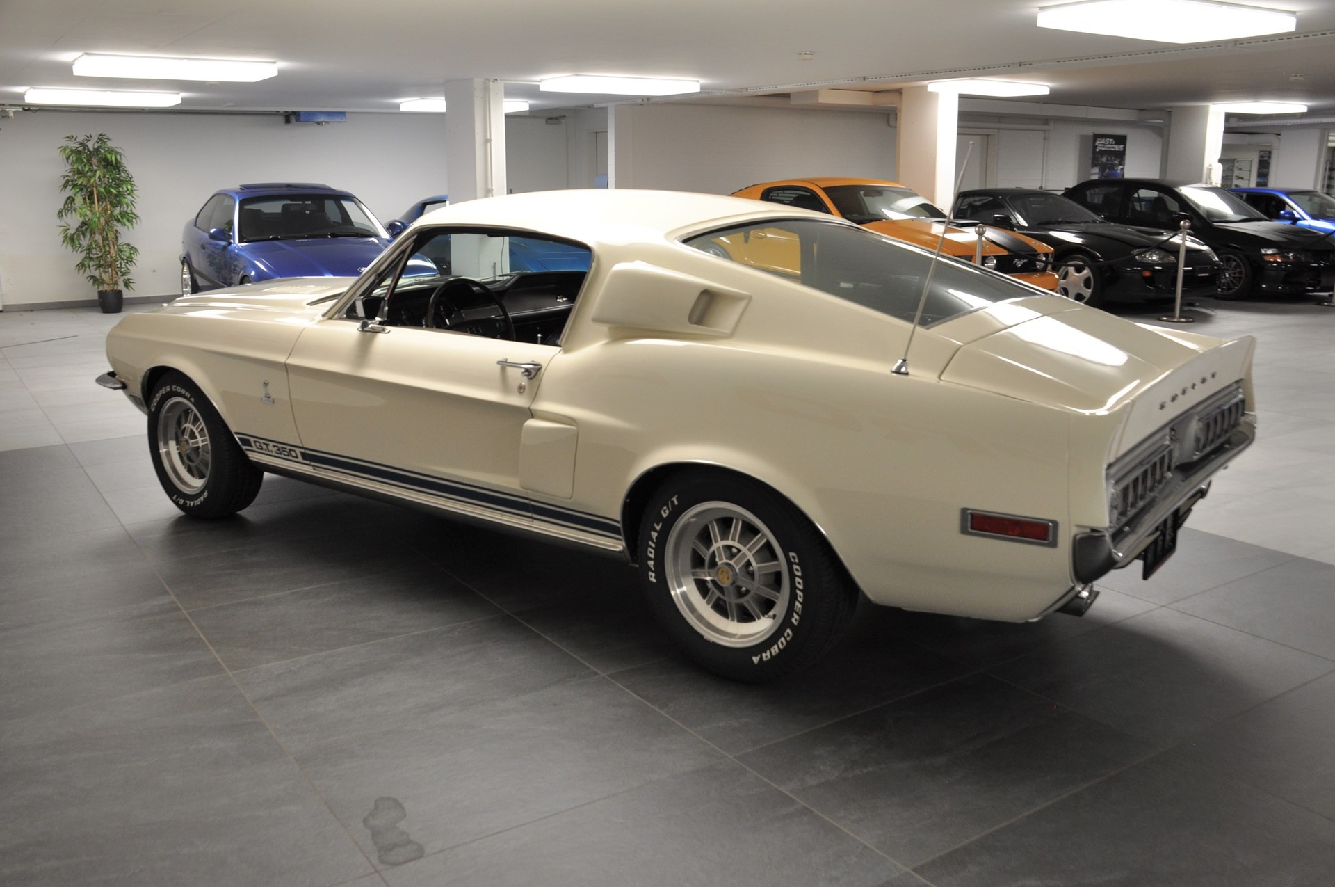 FORD MUSTANG Shelby GT350-image-8