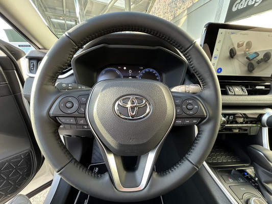 TOYOTA RAV-4 2.5 HSD Comfort 4WD-image-8