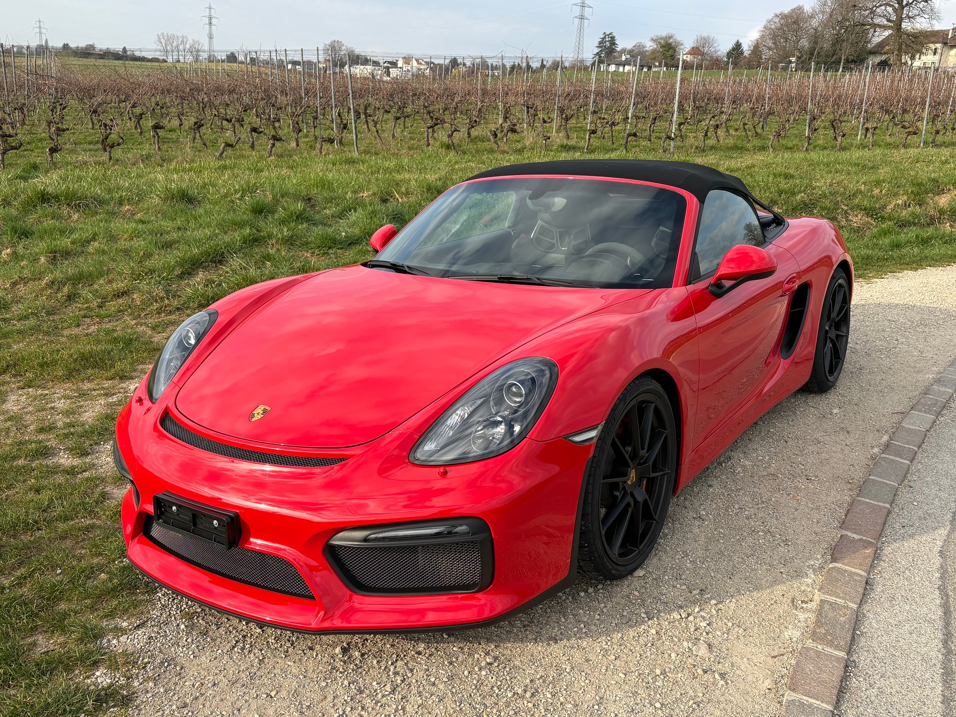 PORSCHE Mod 981 Spyder-image-0