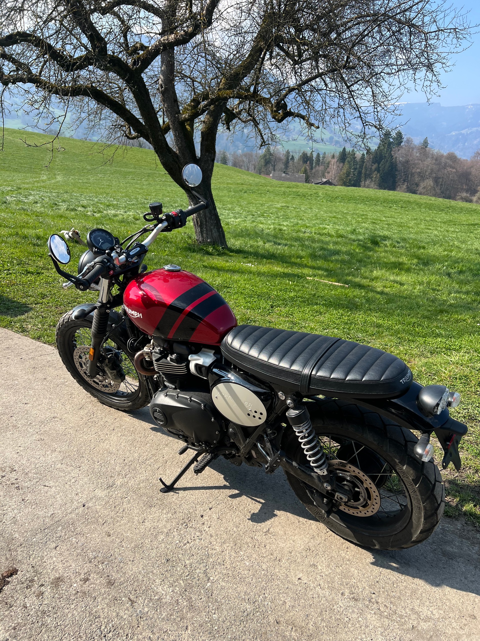 TRIUMPH Scrambler 900 (35kW)-image-3