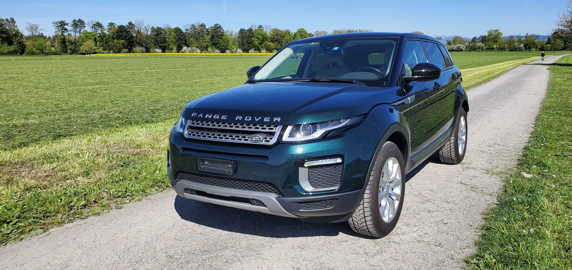 LAND ROVER Range Rover Evoque 2.0 TD4 SE AT9, gepfl. FZ. mit guter Ausstattung-image-0