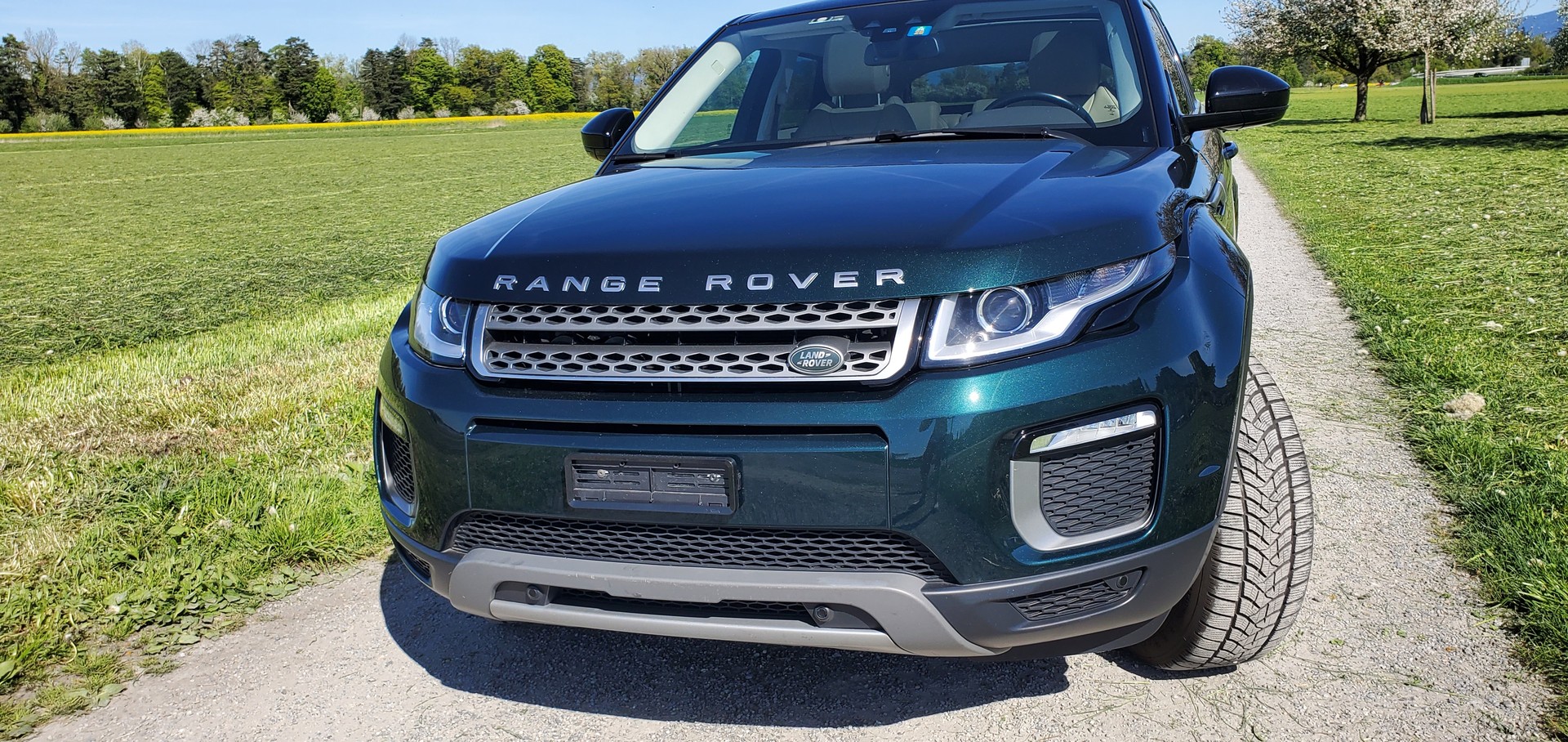 LAND ROVER Range Rover Evoque 2.0 TD4 SE AT9, gepfl. FZ. mit guter Ausstattung-image-6