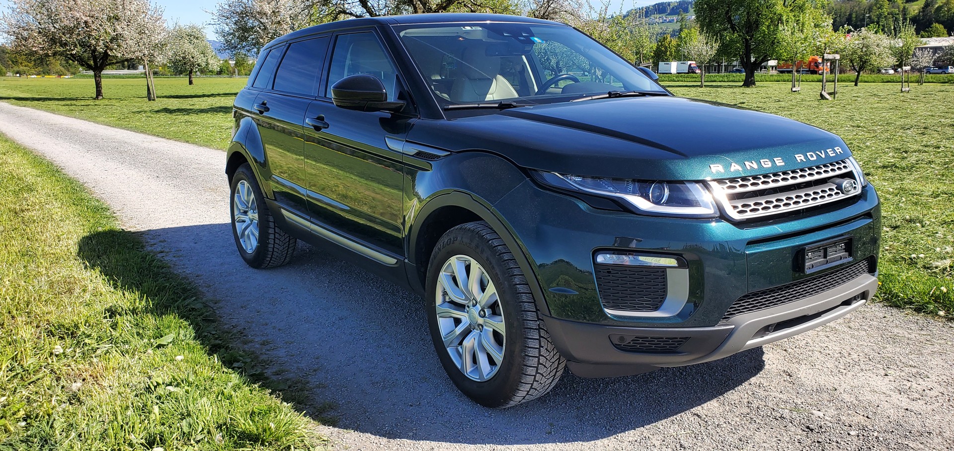 LAND ROVER Range Rover Evoque 2.0 TD4 SE AT9, gepfl. FZ. mit guter Ausstattung-image-1