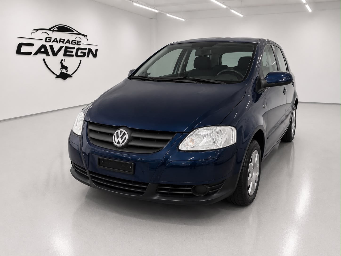 VW FOX-image-0